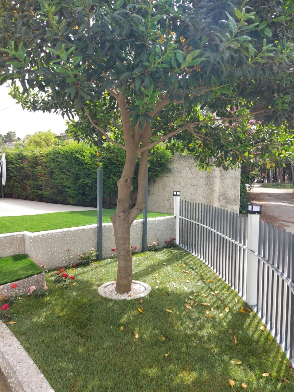 Vila Green Relax Vlorë Eksteriør bilde